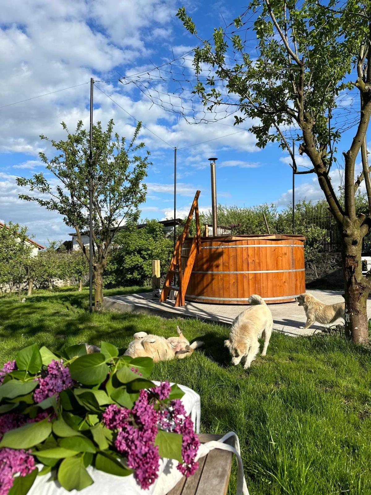 Casa Din Deal Сибиу Екстериор снимка